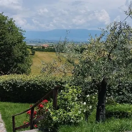 게스트하우스 L'angolo Degli Ulivi *