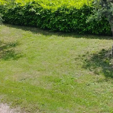 L'angolo Degli Ulivi Marcellano