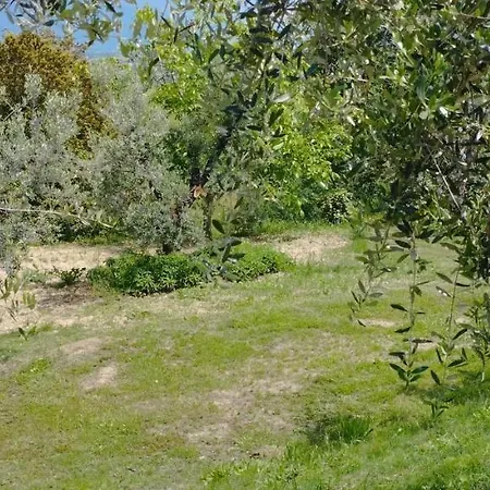 L'angolo Degli Ulivi Pensjonat 3*