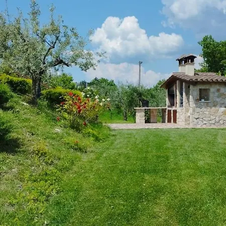 L'angolo Degli Ulivi بيت ضيافة