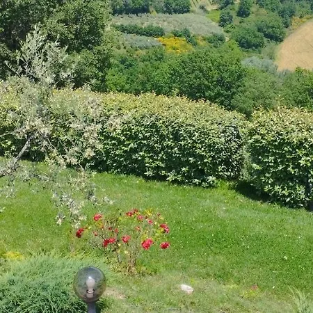 L'angolo Degli Ulivi 3* Marcellano