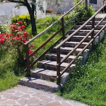 L'angolo Degli Ulivi 3*