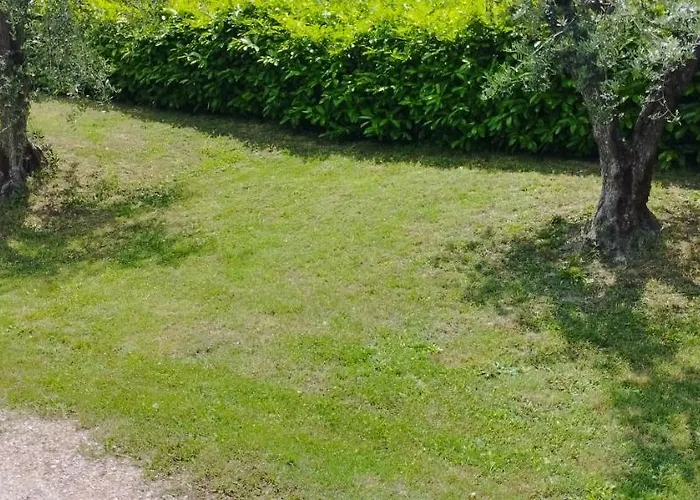 L'angolo Degli Ulivi Marcellano