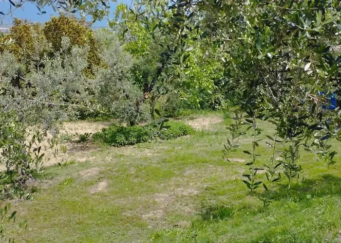 L'angolo Degli Ulivi Pensjonat 3*